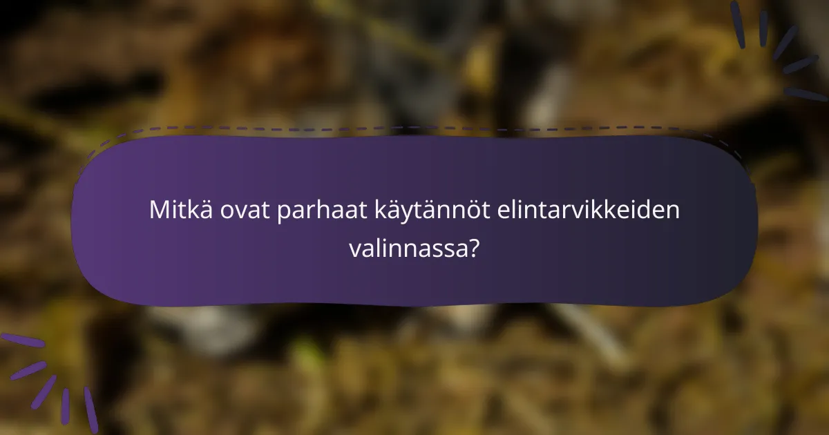 Mitkä ovat parhaat käytännöt elintarvikkeiden valinnassa?